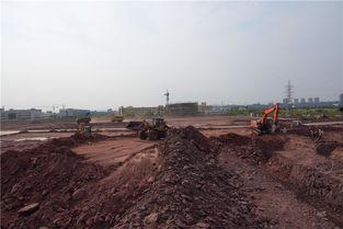 廣安市岳池新聞頭條最新,聚焦岳池發展新動態，共話鄉村振興新篇章