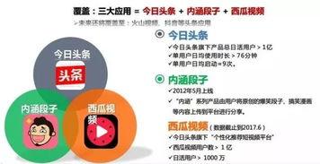 頭條推廣產品轉化,揭秘高效轉化策略與成果展示