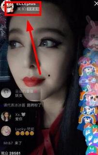 明星直播在哪看,精彩瞬間，盡在掌握——揭秘各大平臺觀看攻略
