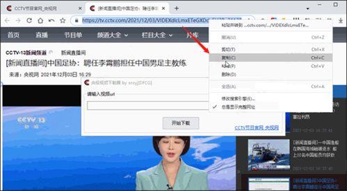 賀磊直播爆料視頻下載軟件,下載軟件背后的秘密與技巧