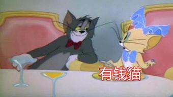 貓和老鼠s2爆料視頻,經典角色新篇章，笑料百出引期待