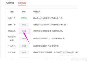頭條賬號登錄地址在哪里,頭條賬號登錄地址，輕松掌握賬號安全