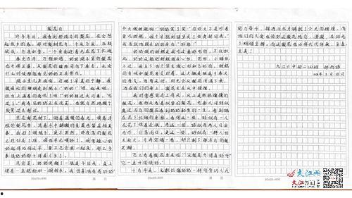 網紅效應美與丑作文,美丑界限的模糊與反思