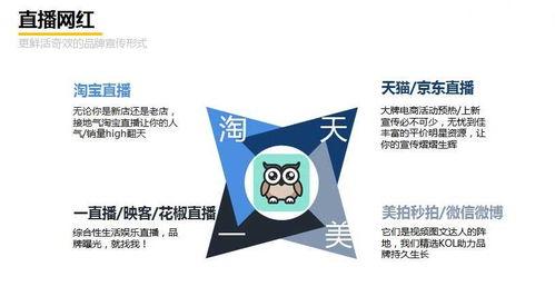 網紅推廣簡介文案,打造爆款內容的秘訣