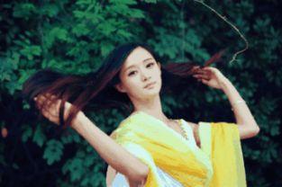 星夢(mèng)奇緣明星圖片王國(guó),明星圖片王國(guó)的璀璨瞬間