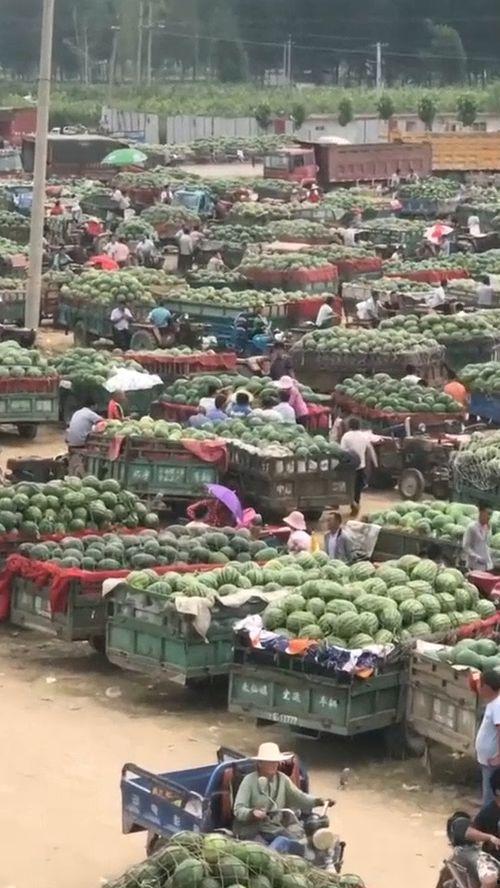 成都吃瓜基地地址,揭秘這座美食天堂的獨特風味聚集地