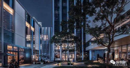 深圳頭條動態圖片制作,動態圖揭示城市活力瞬間