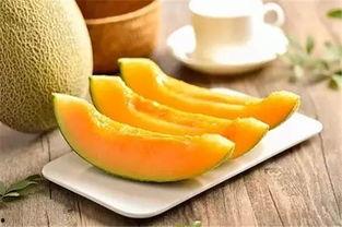 網紅老師說的哈密瓜