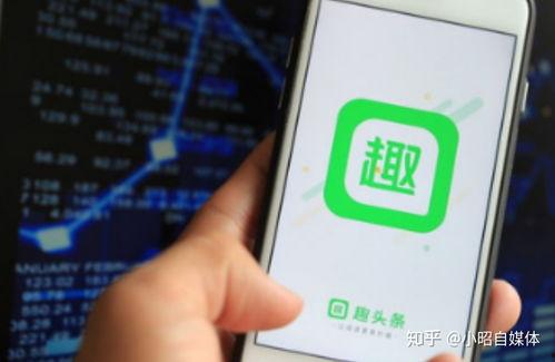 頭條玩什么領域好呢,玩什么最火？