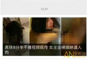 高鐵8分半視頻在線觀看,揭秘中國高鐵的飛速發(fā)展歷程