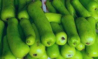 發(fā)燒了吃蒲瓜,發(fā)燒時(shí)的天然清涼良方