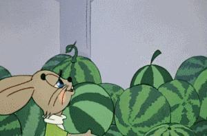 吃瓜回響,揭秘網(wǎng)絡(luò)輿論背后的真相與影響